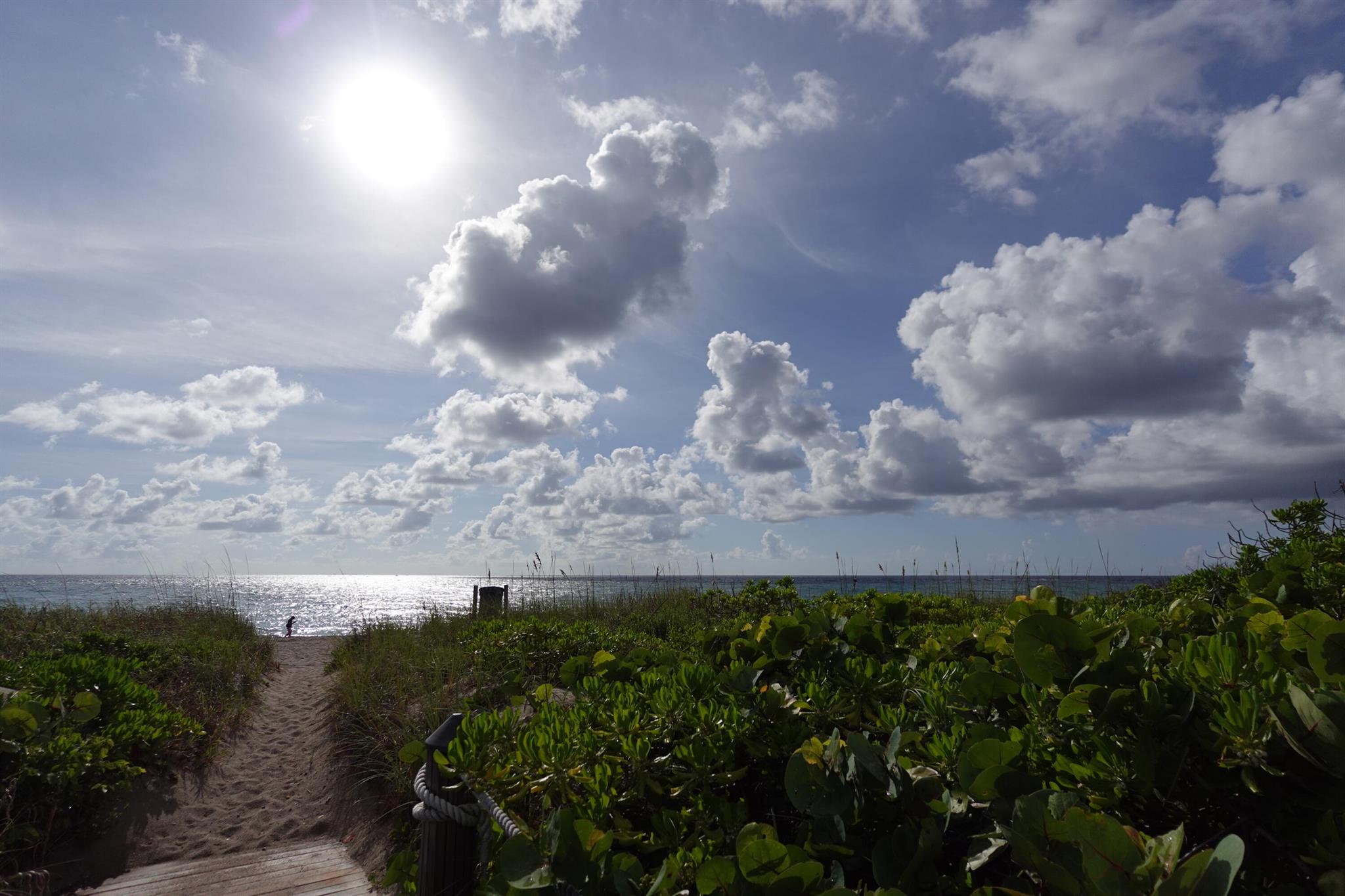 Atrium At Palm Beach Shor
