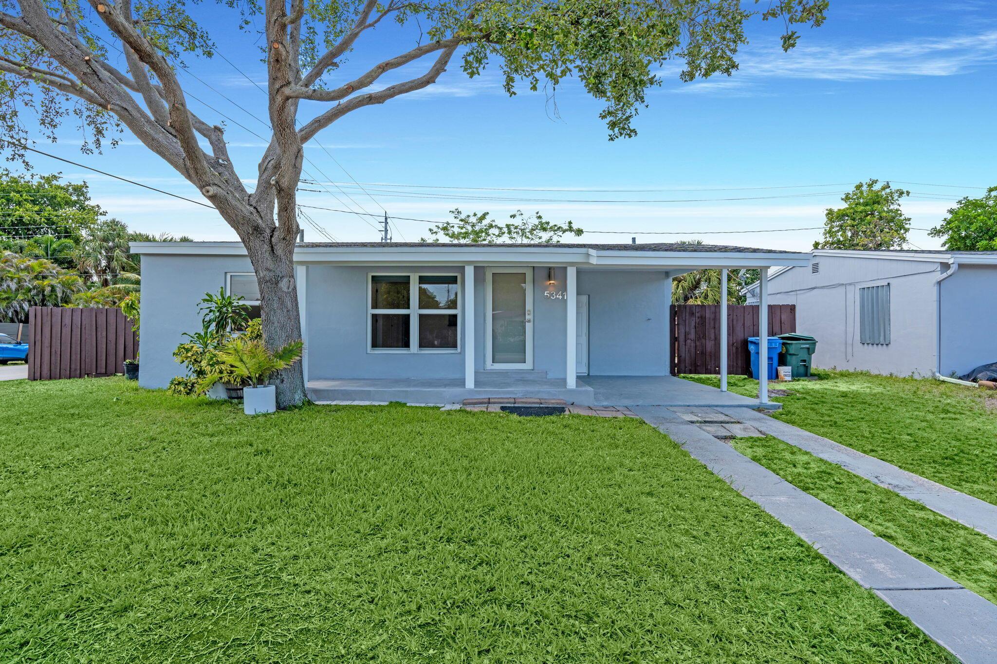 North Andrews Terrace Fir